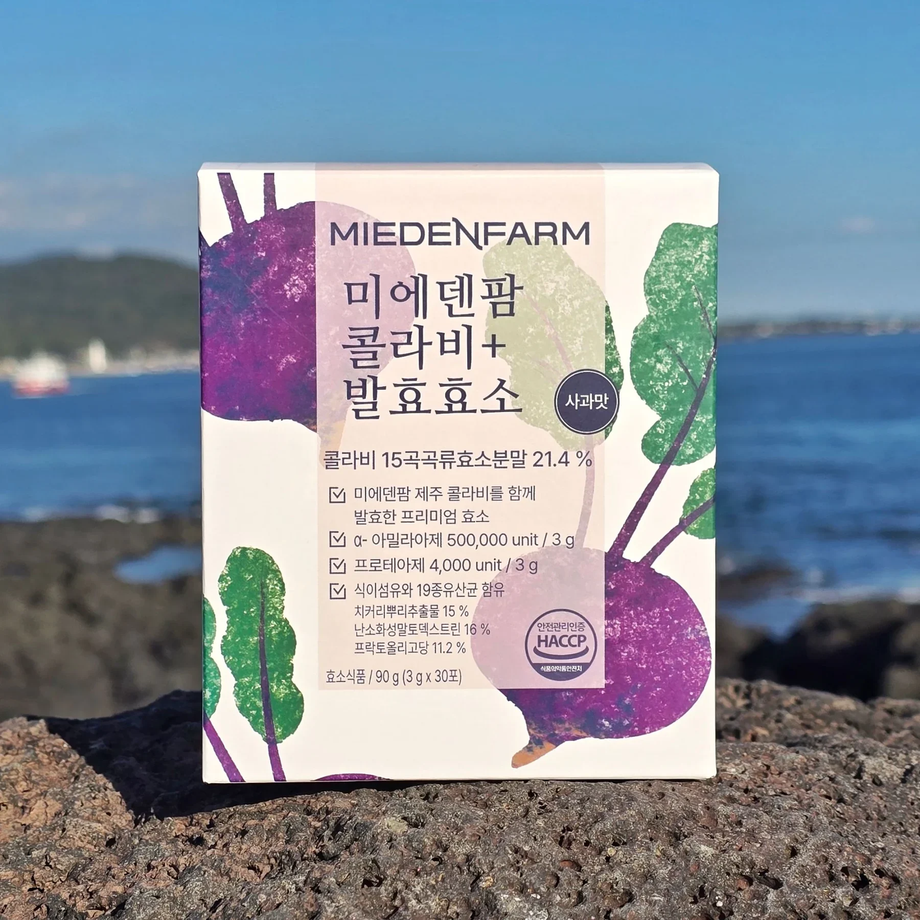 제주 바다 앞 현무암 위 콜라비+ 발효효소 상자(미에덴팜 직접 촬영)